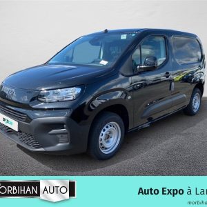 FIAT DOBLO FOURGON M 650KG BLUEHDI 100 S&S BVM6